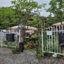 해적선 애견펜션 이미지