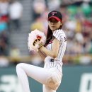 섹시 이미지