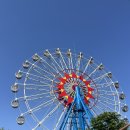 장미목장 이미지