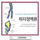 연세항맥병원 이미지