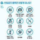 pet50거6205 | 2025 그린캠프 페스티벌 양일권 후기 - 공지가 이상해요;운영똑바로하셈(feat. 내년엔 글쎄 ㅎ)