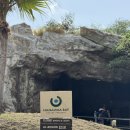 그늘막72 | 하와이 하나우마베이 후기(feat. 스노클링)