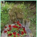 아르보르펜션 | 여주펜션 빼어난 힐링이 기다리는 아르보르펜션!