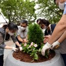 나르샤의정원 이미지