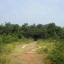 노적목장 | 14.07 인천 장봉도