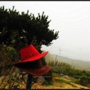 동산로3 이미지