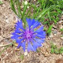 참자연한방병원 이미지