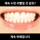 리빙 블랙차크치약 / 리빙 화이트닝 자크치약 이미지