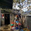 개좌골 추어탕 이미지