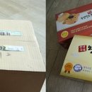 천년거북 희상 이미지