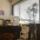 양양초등학교 이미지