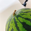 가좌마트 | 수박사고 치킨시켜 피크닉가기- 여름엔 수박이지🍉 수박 고르는 꿀팁 공개❣️❣️