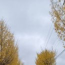 춘당초등학교 이미지