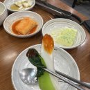 갑오징어짱 이미지