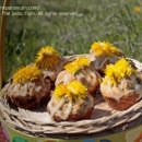 달콤한 민들레의 속 이미지