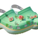 킹덤키즈-F 이미지