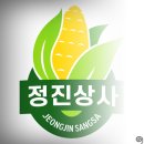 농산물유통 | 옥수수 도매 정진상사 이용 후기 – 믿고 맡길 수 있는 농산물 유통 파트너