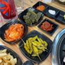 올바른고기
