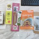 멍블랑 강아지분양 시흥배곧점 이미지