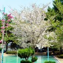 구슬비 공원 이미지