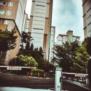 카프렌즈 이미지