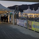 은하수 | 밤풍경이 정말 아름다웠던 여수 요트투어 체험하기좋은 낭만바다요트