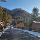 울진숲속의산장펜션 | (겨울 가평여행) 칼봉산자연휴양림 숲속의 집 목련3 가격, 시설 ,이용팁 만족스런 숙박후기