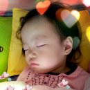 진빼이PC 이미지