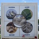 오미 농산물 이미지