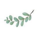 둔산남로91번길 이미지