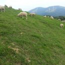 진동목장 이미지