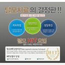 루체피부과의원 Daum카페
