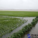 삼봉배수펌프장 이미지