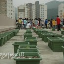 구름산 초등학교 옥상텃밭 이미지