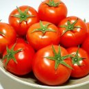 김진수농장 이미지