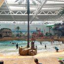 롯데워터파크 | [부산/김해]부산 근교 워터파크-롯데워터파크 내돈내산후기