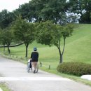 원더풀데이 이미지