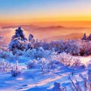 태백산 티스토리