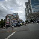 사파동205 이미지