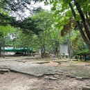 금원수목원수영장 이미지