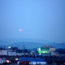천내 Daum카페