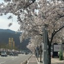 테크노순환로1길 이미지