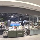 모던리빙 | 모던하우스 수원 스타필드 매장 그릇 리빙 인테리어 소품 추천 방문 후기