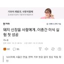 돼지신장을 사람에게... 이미지