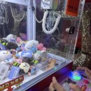 금천포차 이미지