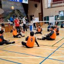 전북도민 장애인체육대회(좌식배구) 이미지