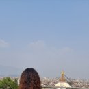 카르마코리아 이미지