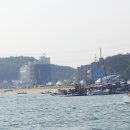 아라파니 이미지