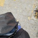 소라 세탁소 이미지