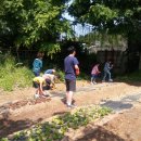 사창농장 이미지